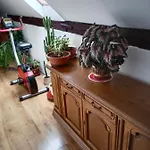 U Dedy Апартаменты