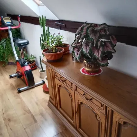 U Dedy Apartamento