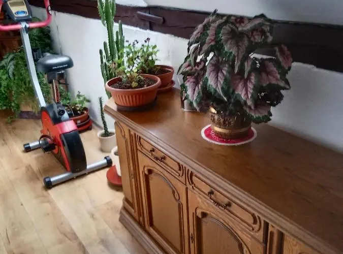 U Dědy Apartmán